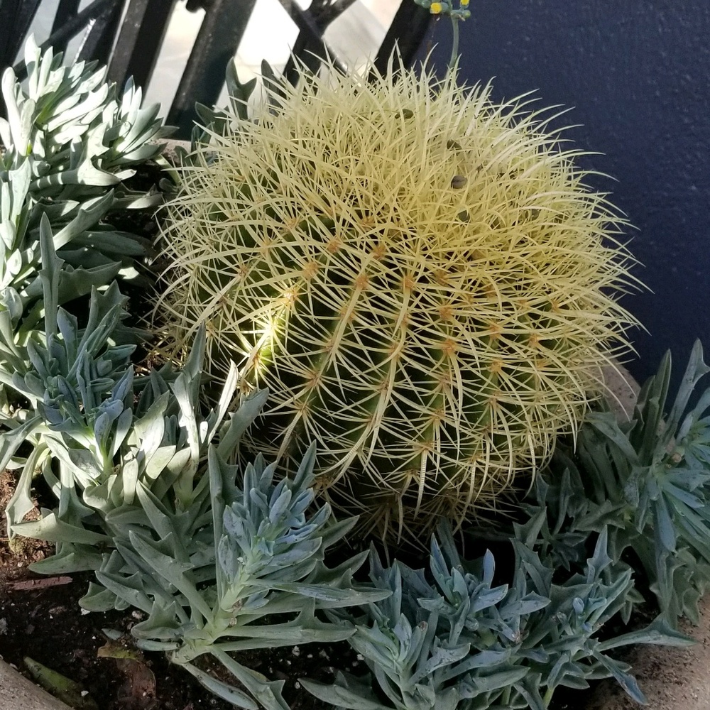 Meet your Posher, Ellie